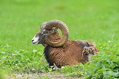 太空建设生存游戏《IXION》上架Steam 自带简中